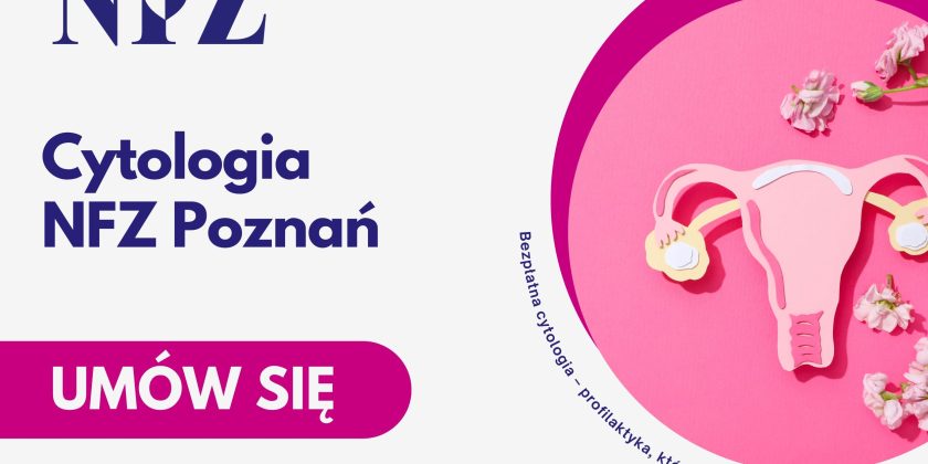Papierowy model macicy - Cytologia na NFZ w Centrum Medycznym neoMedica w Poznaniu.