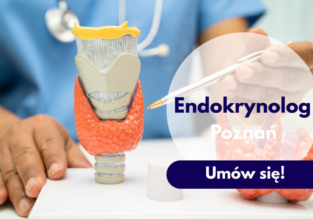 Endokrynolog Centrum Medycznego neoMedica w Poznaniu ze stetoskopem na szyi wskazuje na model narządu tarczycy.