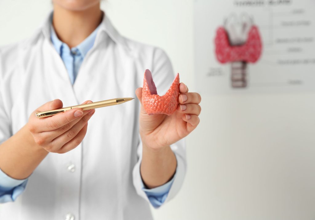 Lekarz wskazuje na model tarczycy, a tle zamazana tablica z obrazkiem tarczycy. - ilustracja dotycząca programu endokrynologicznego dostepnego w Centrum Medycznego neomedica w Poznaniu.