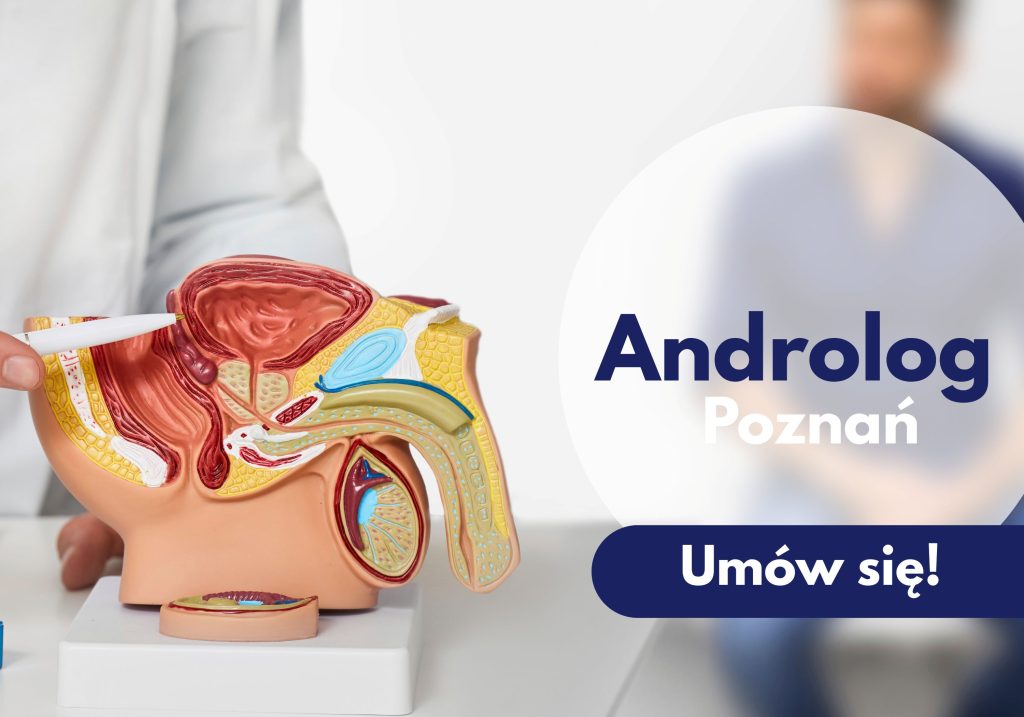 Lekarz wskazujący na model układu płciowego mężczyzn, a w tle zamazany mężczyzna - ilustracja dotycząca androloga w neomedica w Poznaniu.