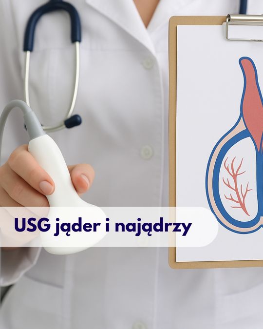 Lekarz trzymający głowicę USG i rysunek jąder oraz najądrzy, ze stetoskopem na szyi na wizycie w Centrum Medycznym neoMedica w Poznaniu.