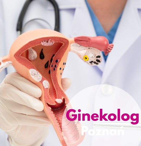 Ginekolog Centrum Medycznego neoMedica w Poznaniu w rękawiczkach lekarskich wskazujący na model macicy.