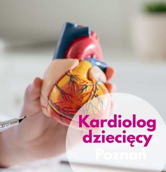 Kardiolog dziecięcy Centrum Medycznego neoMedica w Poznaniu wskazuje na model narządu serca.