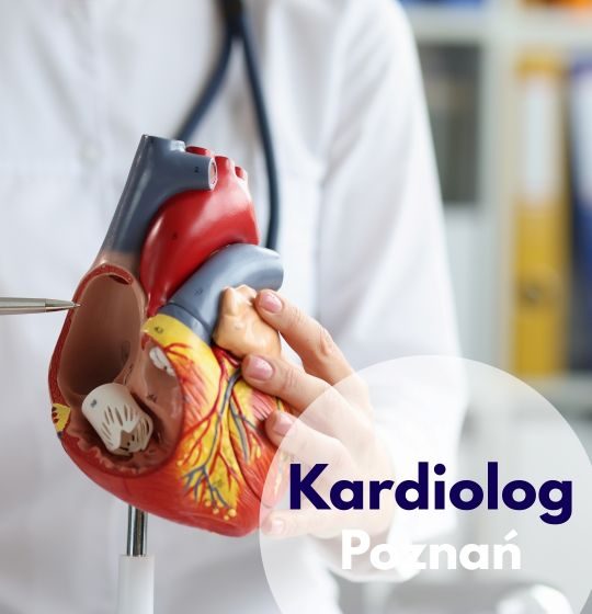 Kardiolog Centrum Medycznego neomedica w Poznaniu wskazuje na model serca.