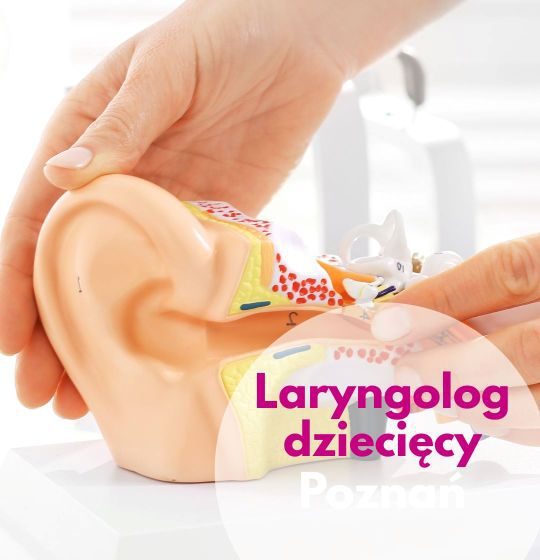Larynkolog dziecięcy pokazuje model ucha i układu słuchowego podczas konsultacji w Centrum Medycznym neoMedica w Poznaniu.