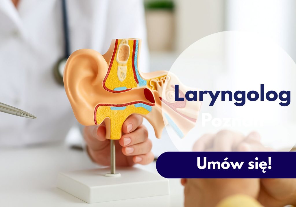 Laryngolog wskazuje podczas konsultacji w Centrum Medycznym neoMedica w Poznaniu na model ucha i układu słuchowego.