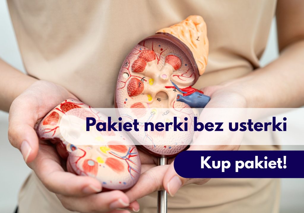 Kobieta trzymająca model narządu nerki – ilustracja dotycząca pakietu badań na nerki dostępnego w Centrum Medycznym neoMedica w Poznaniu.