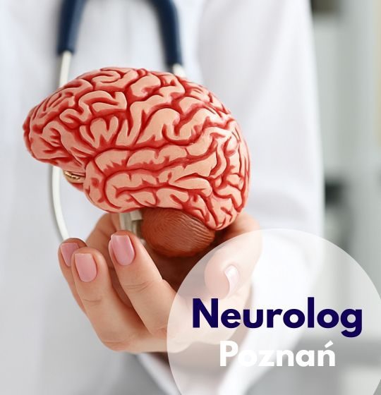 Neurolog na konsultacji w Centrum Medycznym neoMedica w Poznaniu wskazuje na model mózgu.