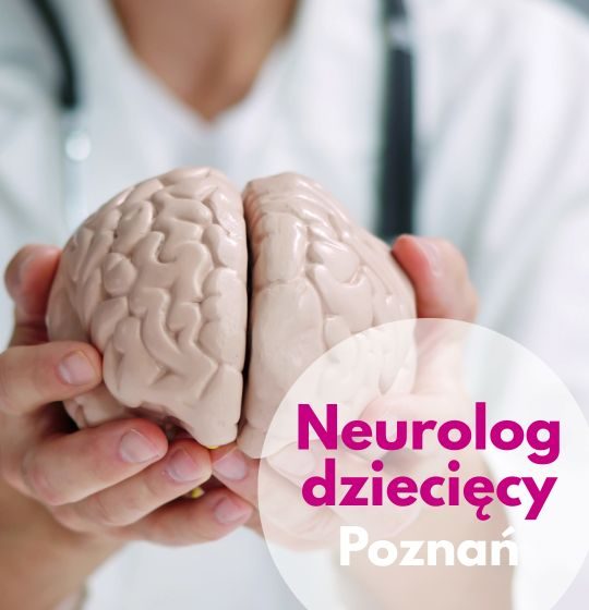Neurolog dziecięcy na wizycie w Centrum Medycznym neoMedica w Poznaniu pokazuje model mózgu.