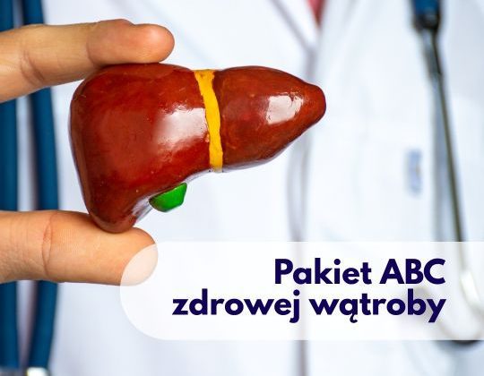 Lekarz ze stetoskopem na szyi trzymajacy figurkę narządu wątroby - ilustracja dotycząca pakietu ABC zdrowej wątroby dostępnego w Centrum Medycznym neoMedica w Poznaniu.