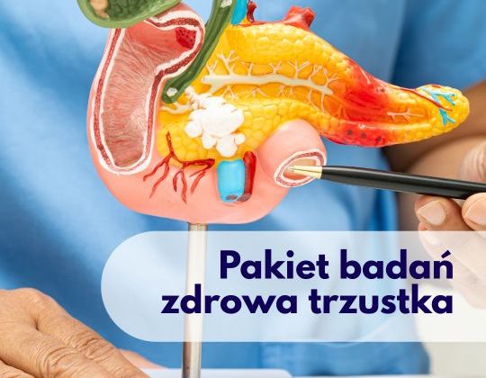 Lekarz trzymający model narządu trzustki w Centrum Medycznym neoMedica.