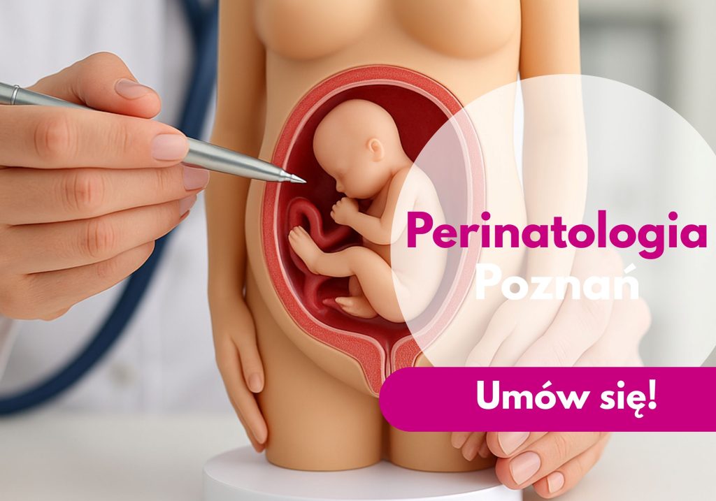 Perinatolog wskazujący na model sylwetki kobiety w ciąży - ilustracja dotycząca perinatologii w Centrum Medycznym neoMedica w Poznaniu.