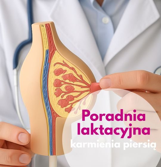 Lekarz ze stetoskopem na szyi wskazuje na model piersi - ilustracja dotycząca Poradni laktacyjnej, karmienia piersią w Centrum Medycznym neoMedica.