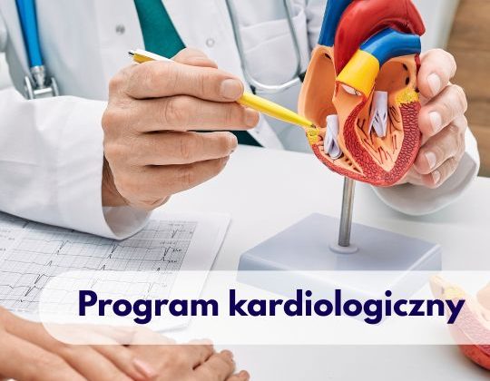 Lekarz z Centrum Medycznego neoMedica w Poznaniu wskazujący na model narządu serca, a na biurku przed nim znajdują się wydruki z badania EKG oraz dłonie Pacjenta.