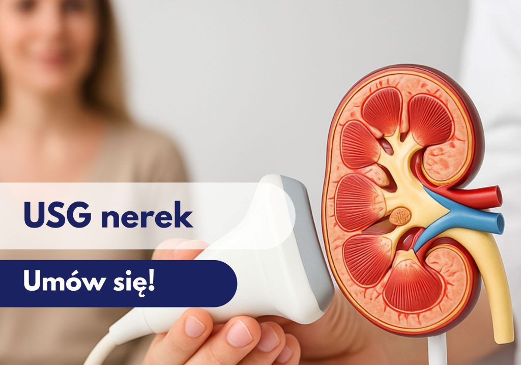 Głowica USG przykładana przez lekarza do modelu przedstawiającego nerkę, w tle zamazana sylwetka kobiety podczas wizyty w Centrum Medycznym neoMedica w Poznaniu.