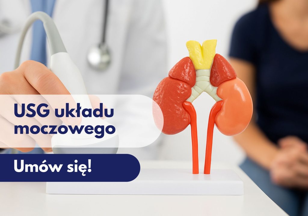 Głowica USG przykładana przez lekarza do modelu przedstawiającego układ moczowy, w tle zamazana sylwetka kobiety podczas wizyty w Centrum Medycznym neoMedica w Poznaniu.