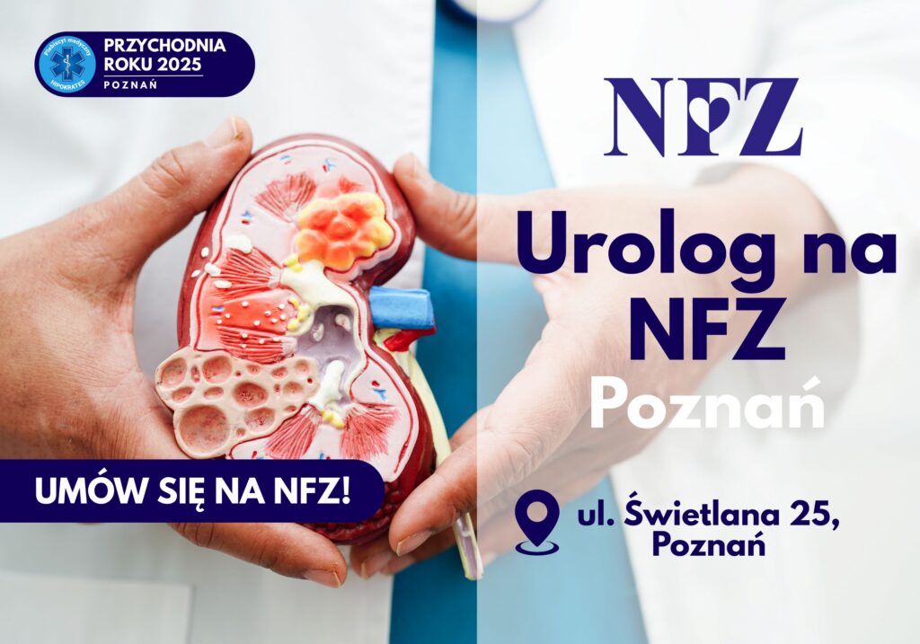 Lekarz trzymający na pierwszym planie figurkę narządu nerek.
